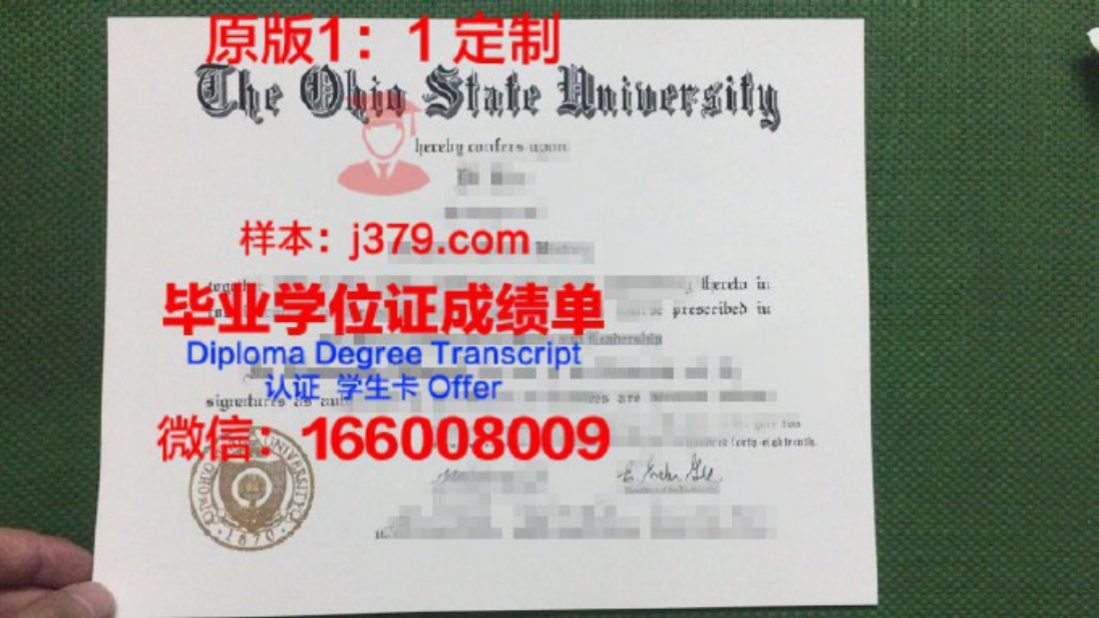 中田纳西州立大学毕业证 Middle Tennessee State University diploma